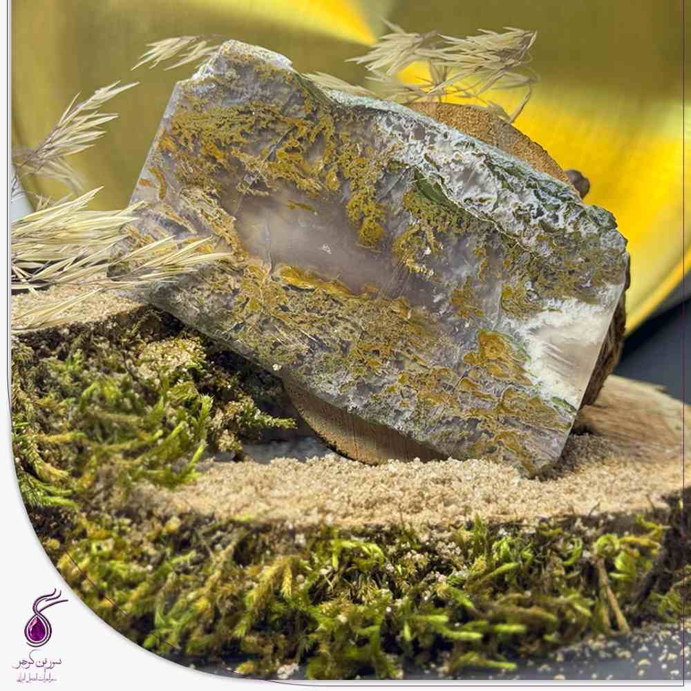 راف عقیق